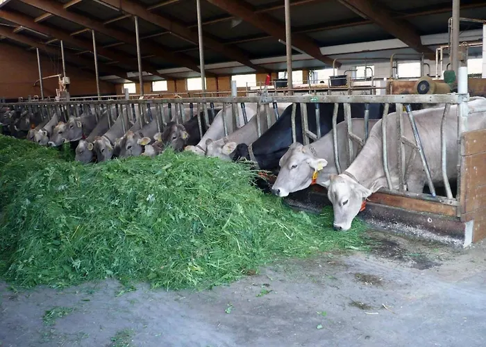 Appartement Markus Koepf