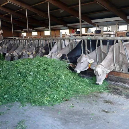 Lejlighed Markus Koepf