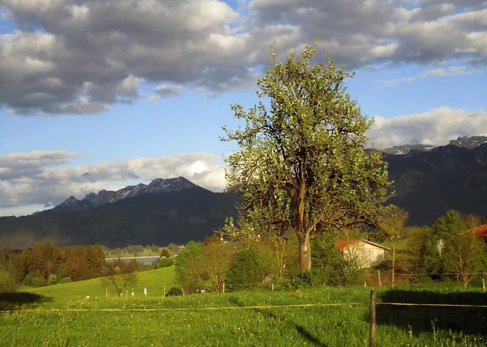 아파트 Markus Koepf *